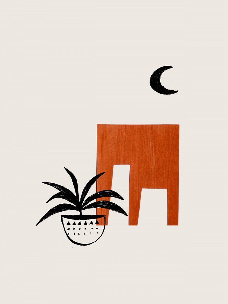 Terracotta-nachtplant door Ejaaz Haniff
