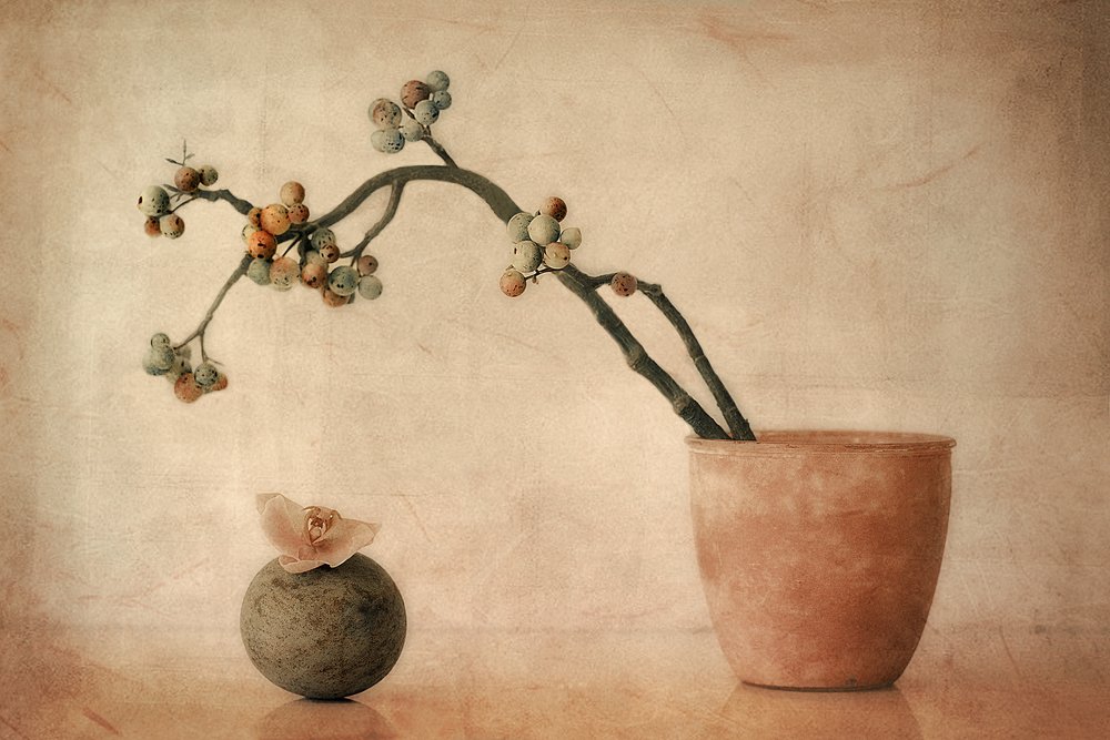 Aardse bessen en orchidee door Elena Arjona