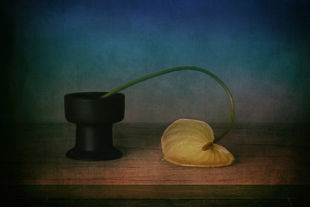 Elegant stilleven met anthurium door Elena Arjona