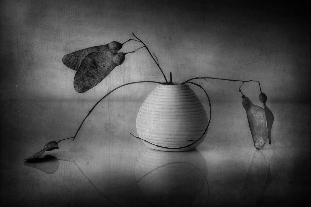 Minimalistisch botanisch stilleven door Elena Arjona