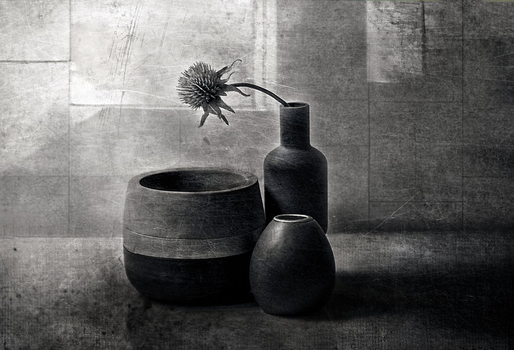 Moody Thistle-schepen door Elena Arjona