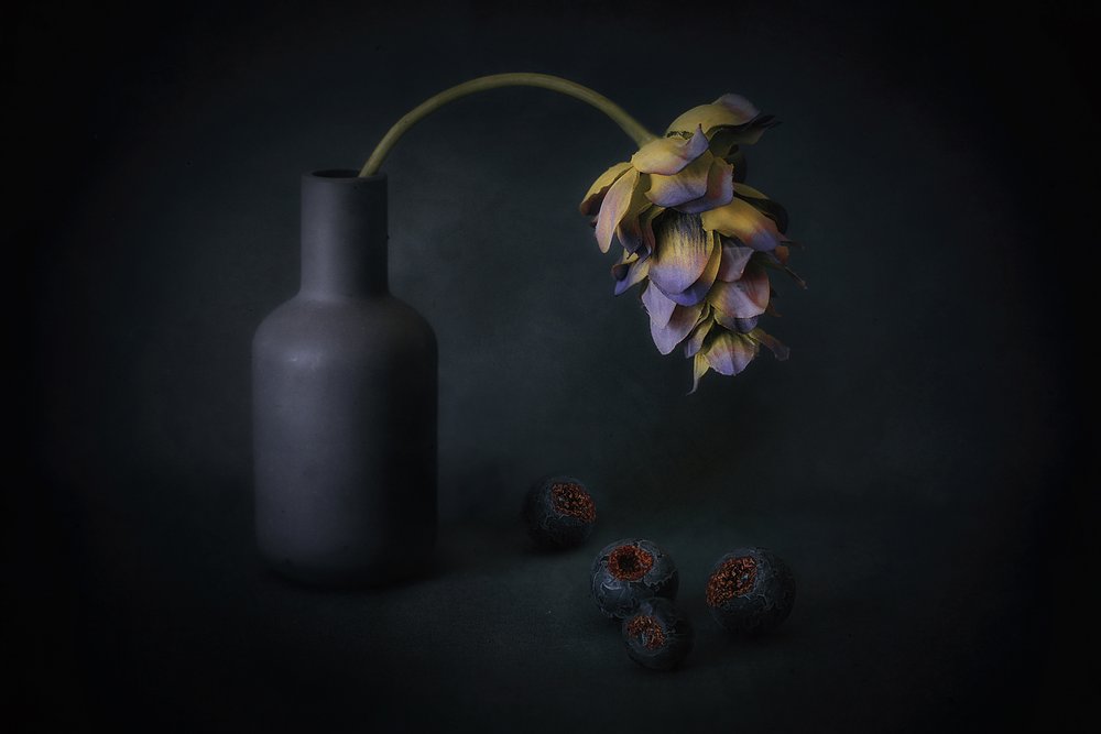 Bloemen en bessen in de schaduw door Elena Arjona