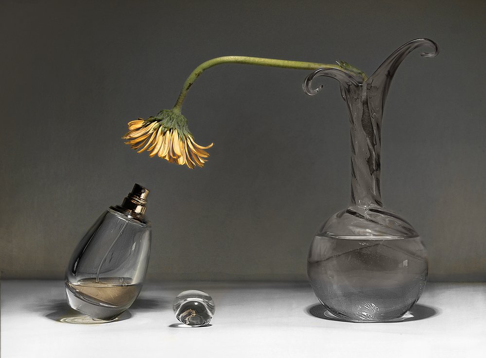 Stilleven met verwelkte bloemen door Elena Arjona