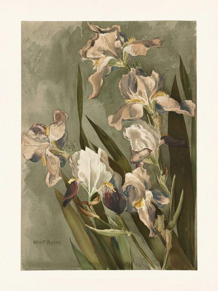  door Elizabeth F. Parker