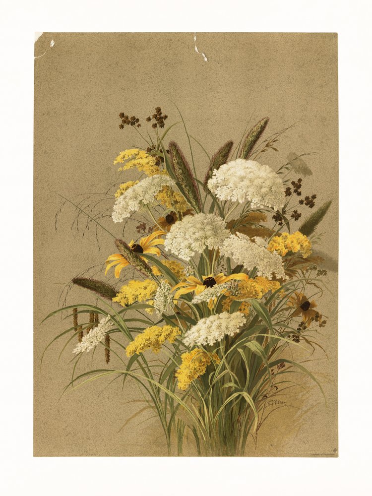 Hemlock, ooggras en guldenroede door Ellen Thayer Fisher