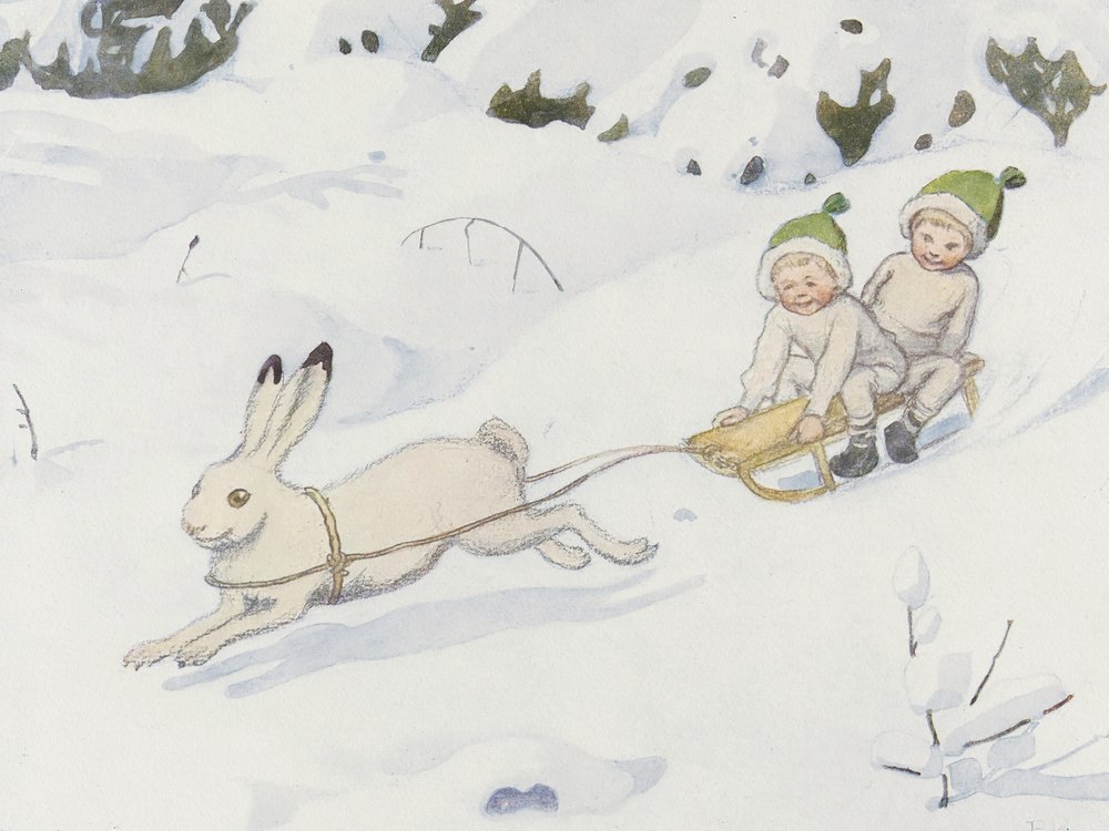 De sneeuwhaas door Elsa Beskow