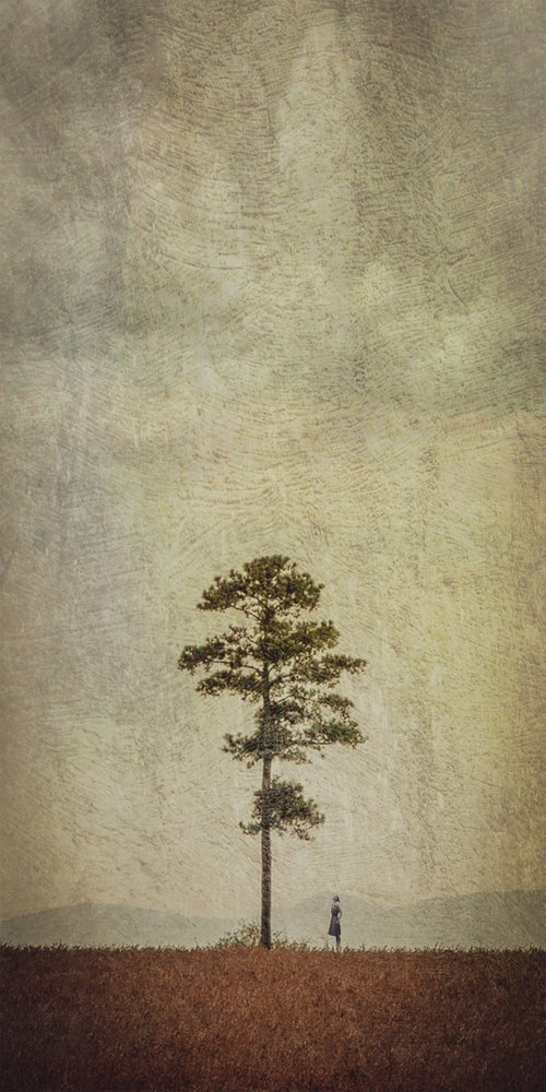 Veld met eenzame bomen door Evgenii Novichikhin