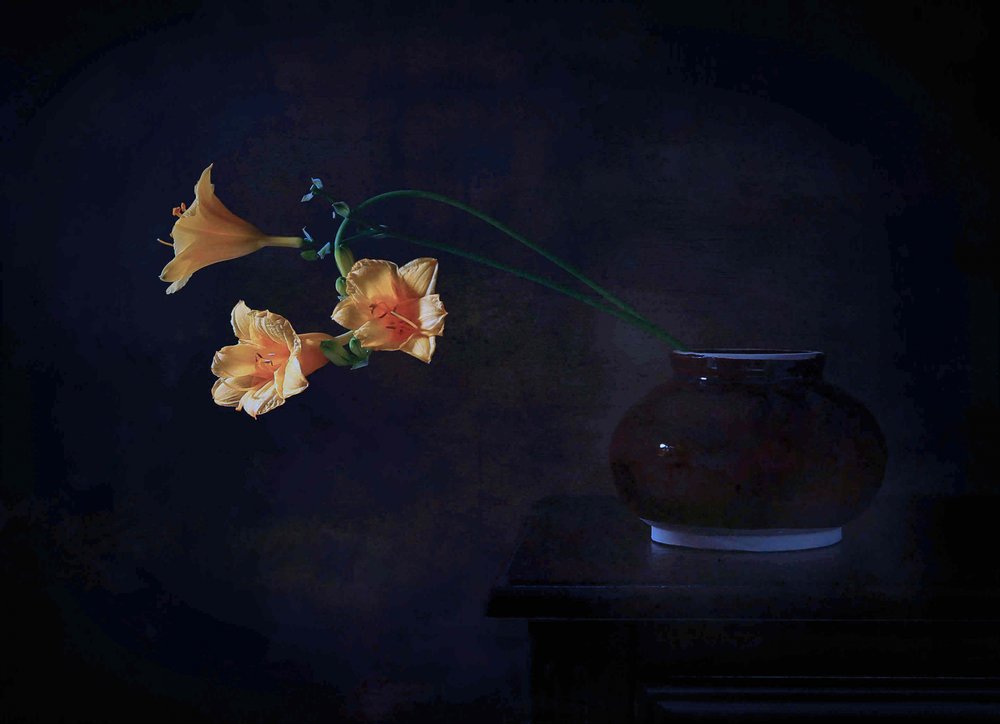 Donkere bloemengloed door Fangping Zhou