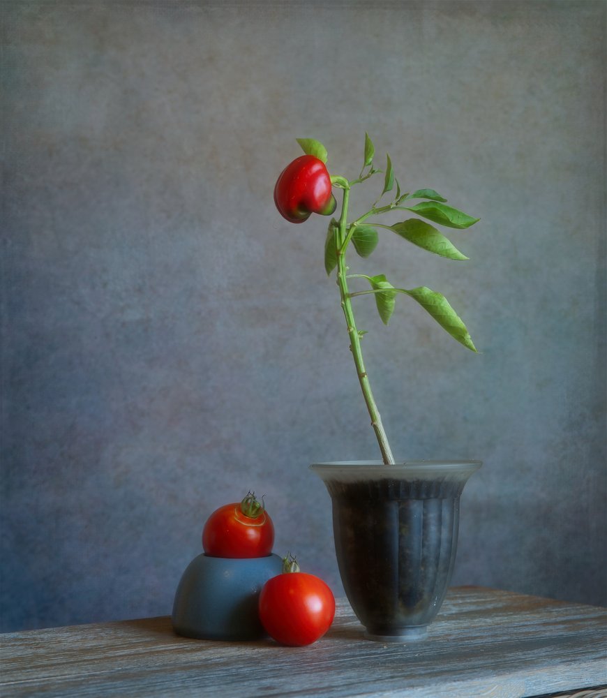 Stilleven met rode paprika door Fangping Zhou