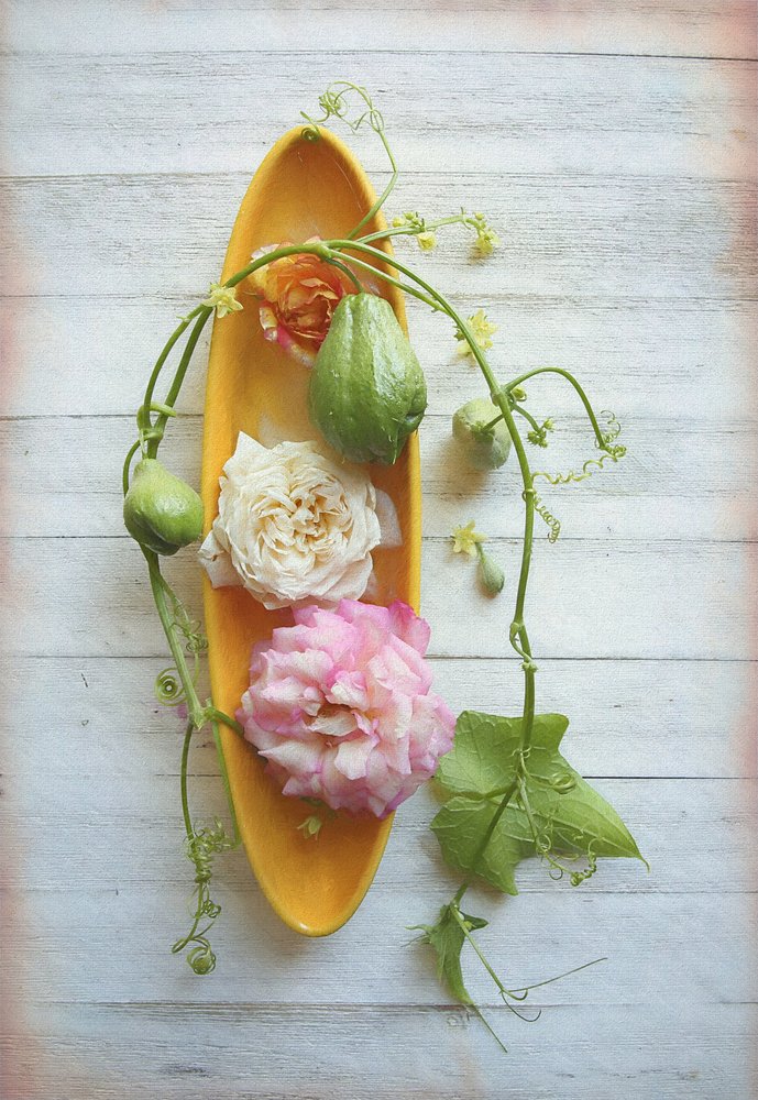 Rustieke roos en chayote door Fangping Zhou