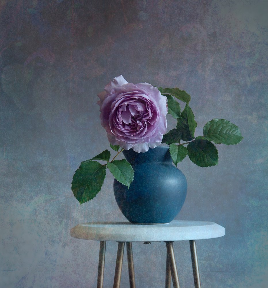 Serene Purple Rose door Fangping Zhou