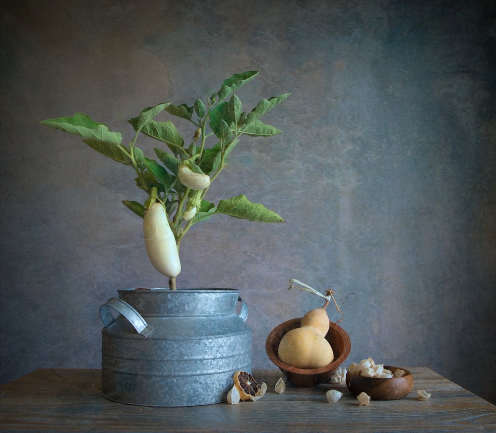 Stilleven met witte aubergine door Fangping Zhou