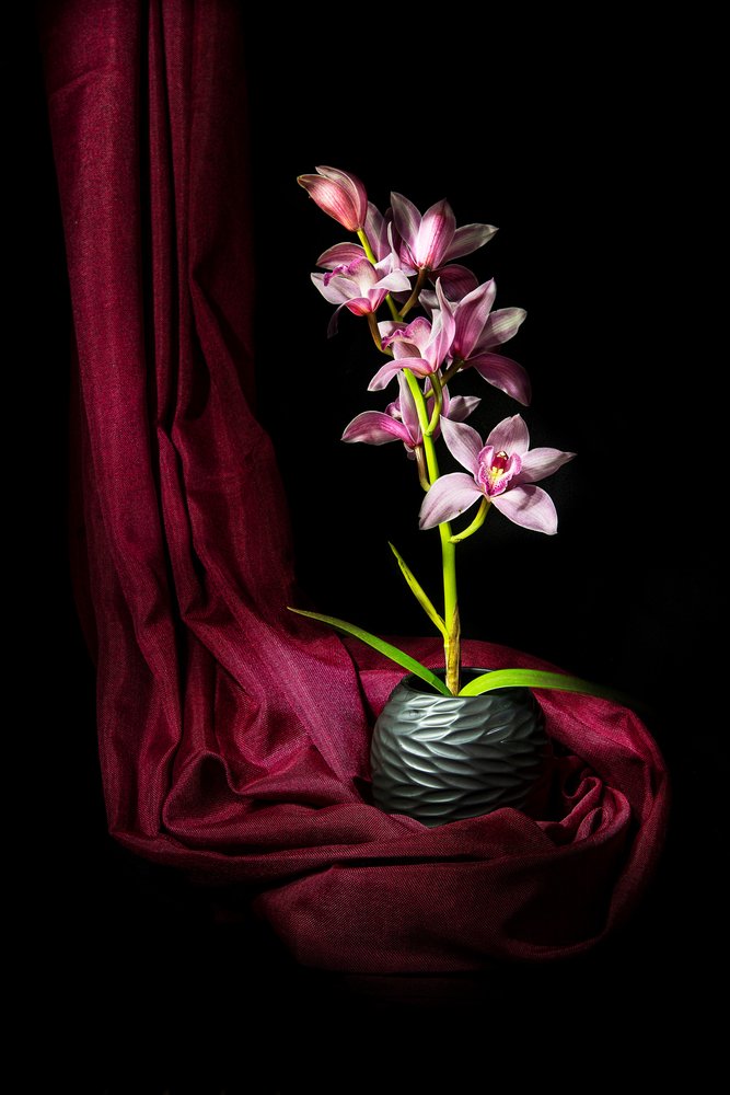 Elegante roze orchidee door Felice Angelino