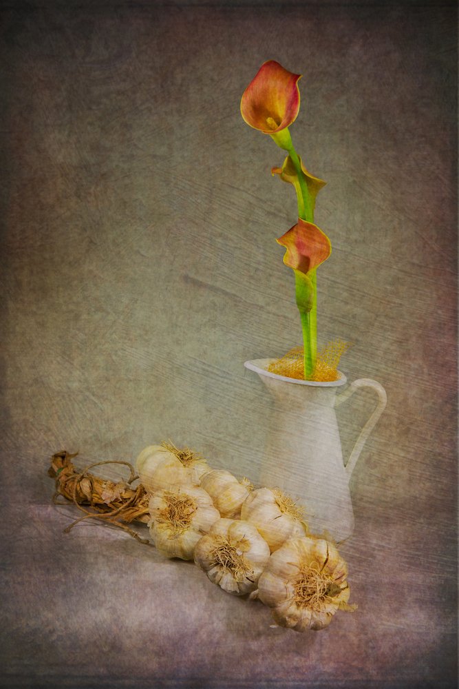 Rustieke knoflookcalla’s door Felice Angelino