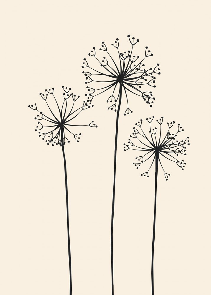 Minimalistische paardenbloemen door Flow Line