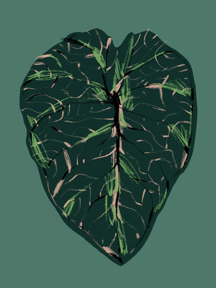  door Francesco Gulina