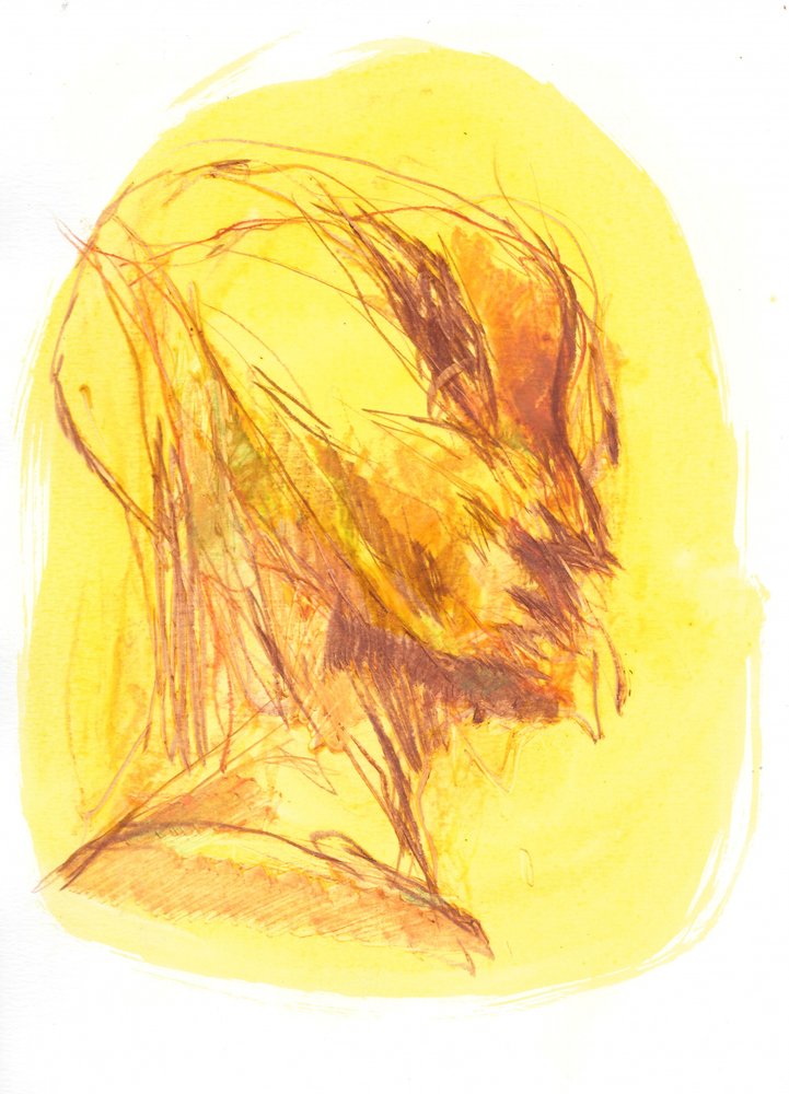 Het portret 1 door Frederic Belaubre