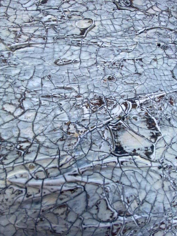  door Gabriela Aleksandra Szuba