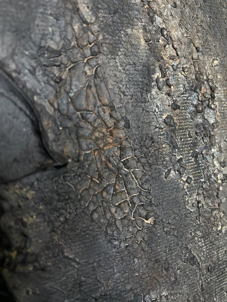  door Gabriela Aleksandra Szuba