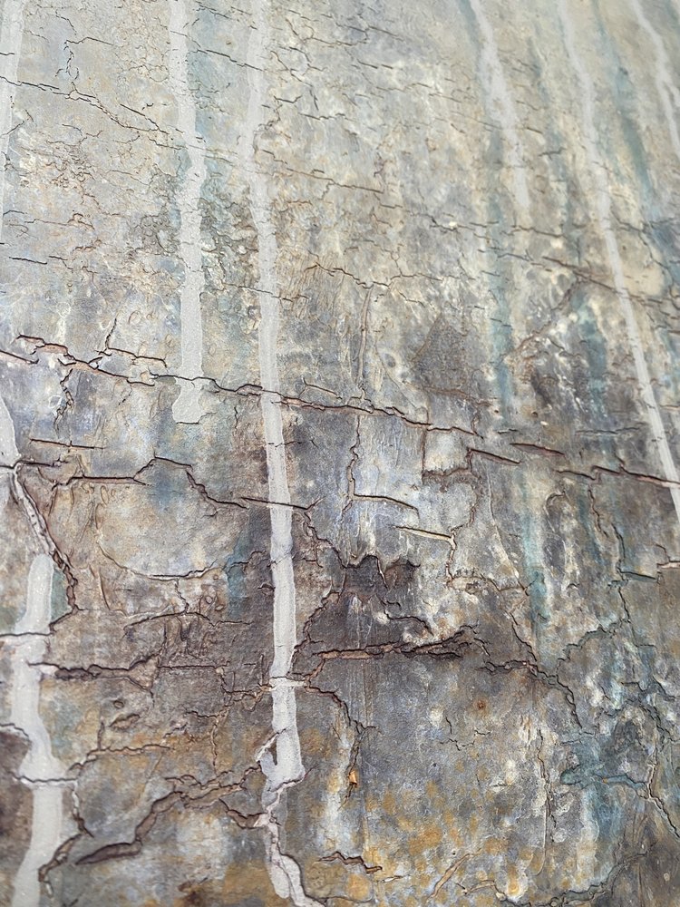  door Gabriela Aleksandra Szuba