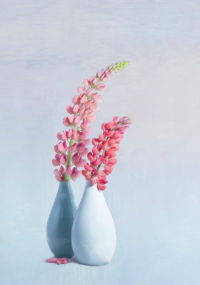  door Gaille Gray
