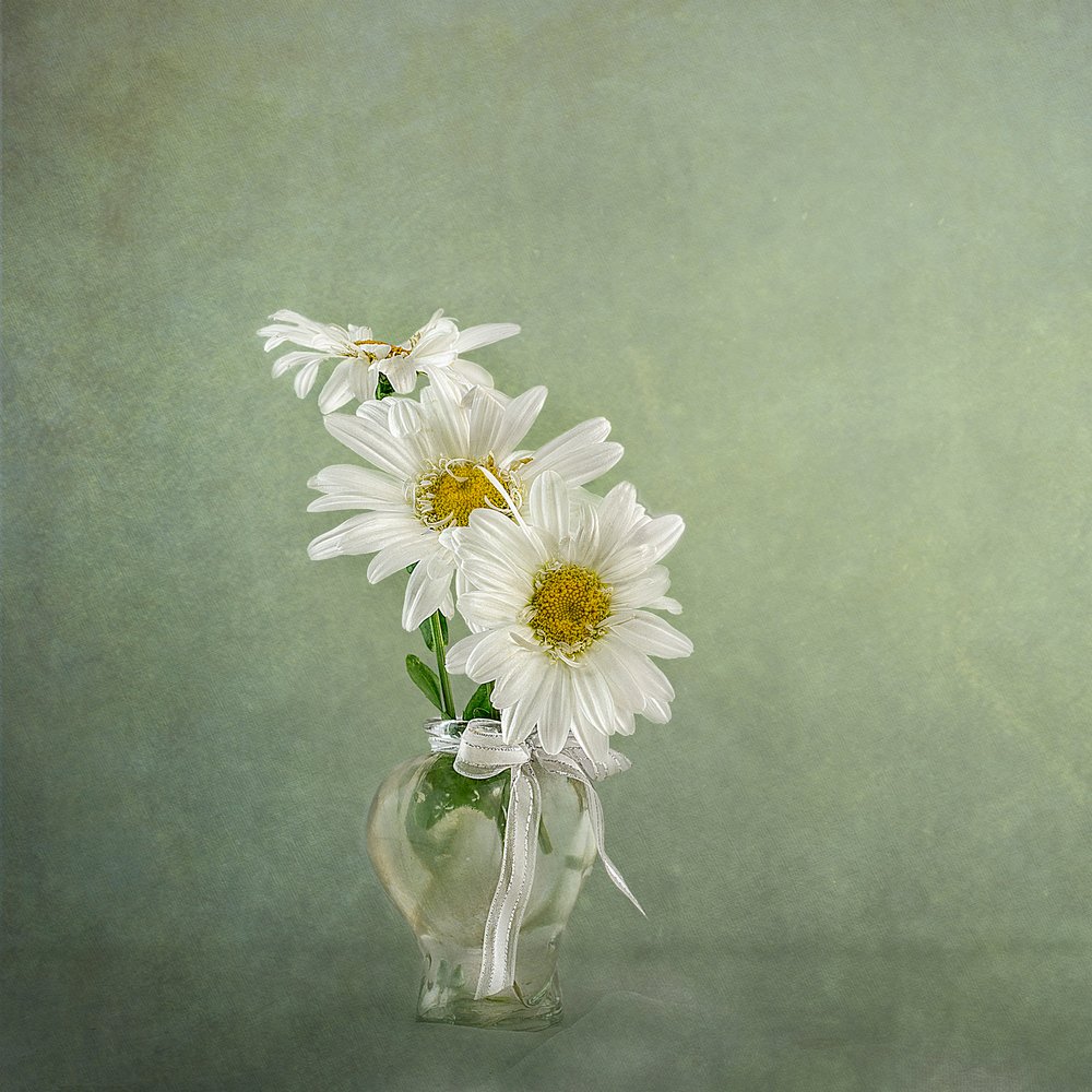  door Gaille Gray