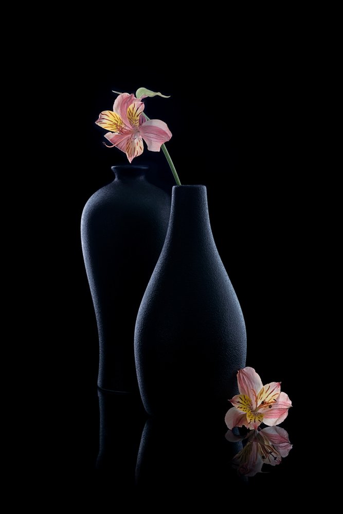Elegante Alstroemeria in vazen door GaoSL