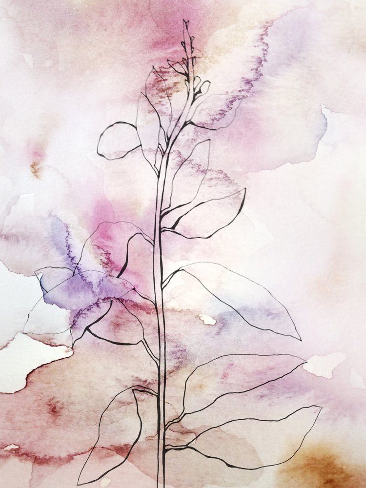 Roze aquarel met botanische motieven door Gemma Bardot