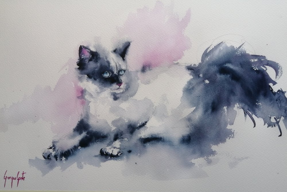 Katten met blauwe ogen in aquarel door Giorgio Gosti