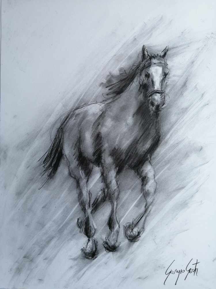 Dynamisch paard in houtskool door Giorgio Gosti