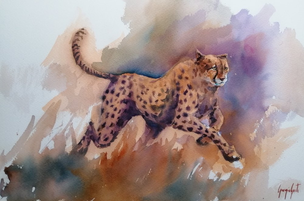 Dynamische cheetah-run door Giorgio Gosti
