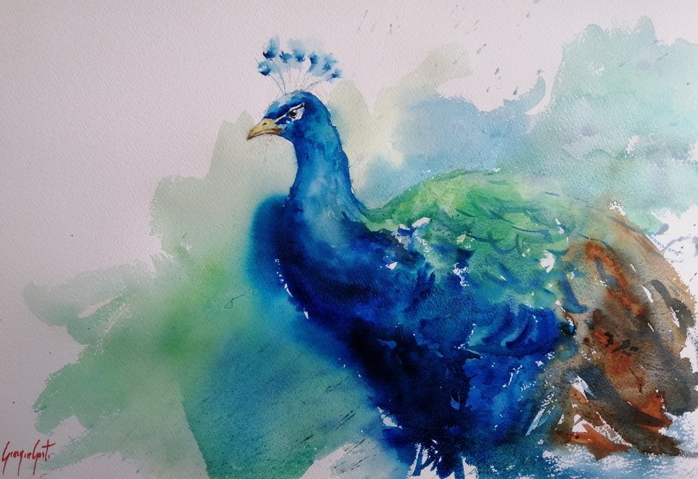 Elegante blauwe pauw door Giorgio Gosti