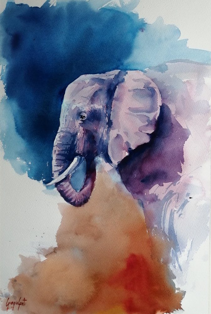 Olifant - Abstracte kleuren door Giorgio Gosti