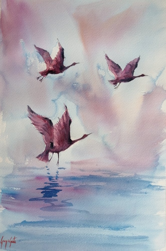 Sierlijke roze vogels door Giorgio Gosti
