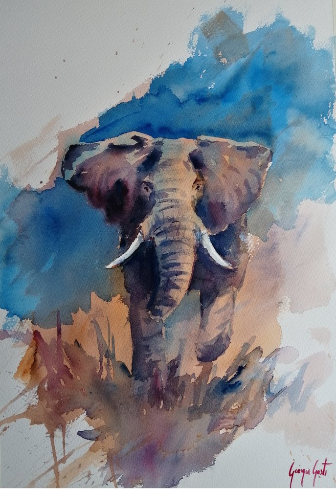 Majestueuze olifant in aquarel door Giorgio Gosti