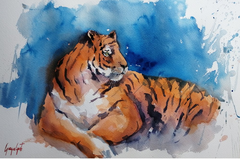 Majestueuze tijger in aquarel door Giorgio Gosti
