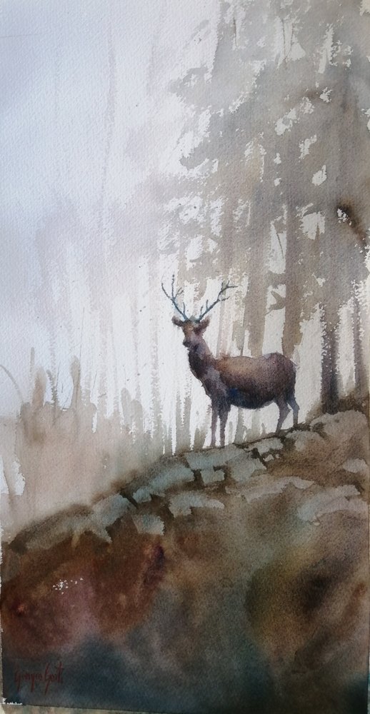 Hert in het mistige bos door Giorgio Gosti