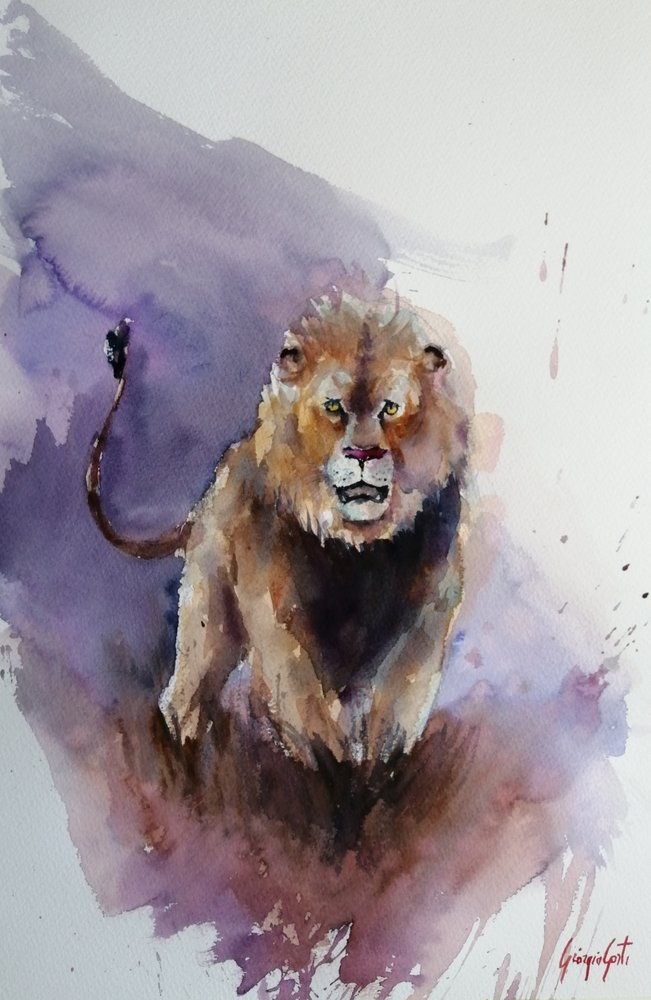 Krachtige leeuw in aquarel door Giorgio Gosti