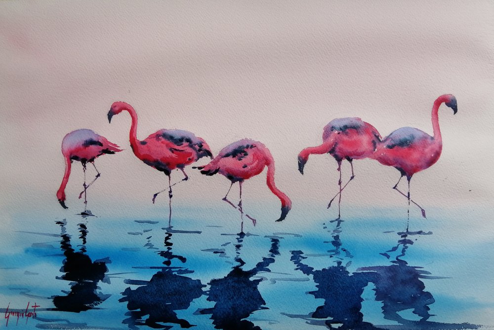 Wadende roze flamingo’s door Giorgio Gosti