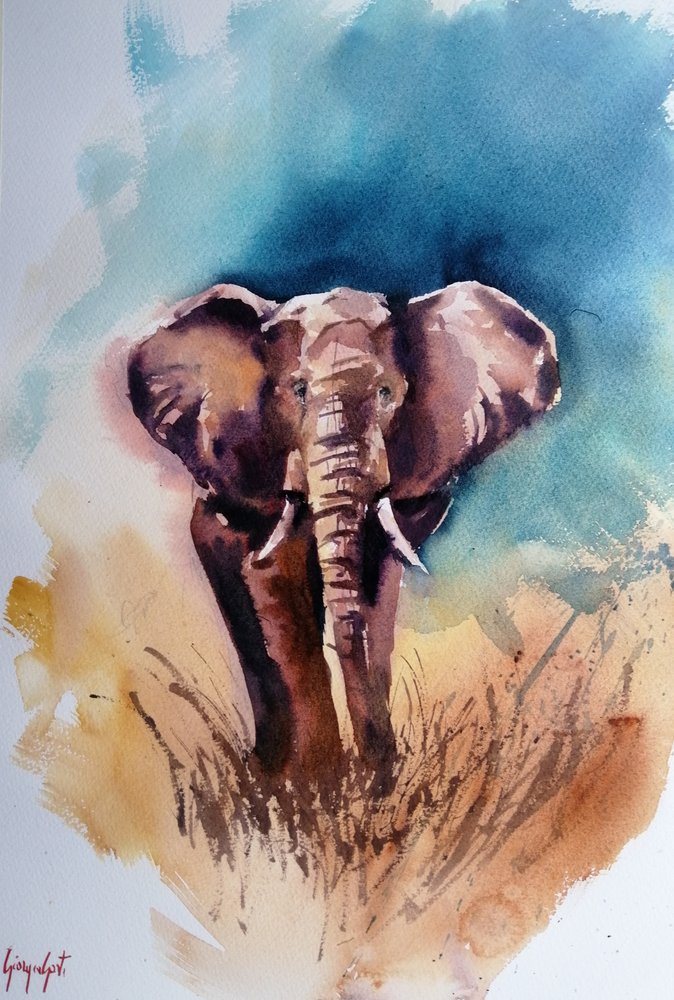 Wilde Afrikaanse olifant door Giorgio Gosti