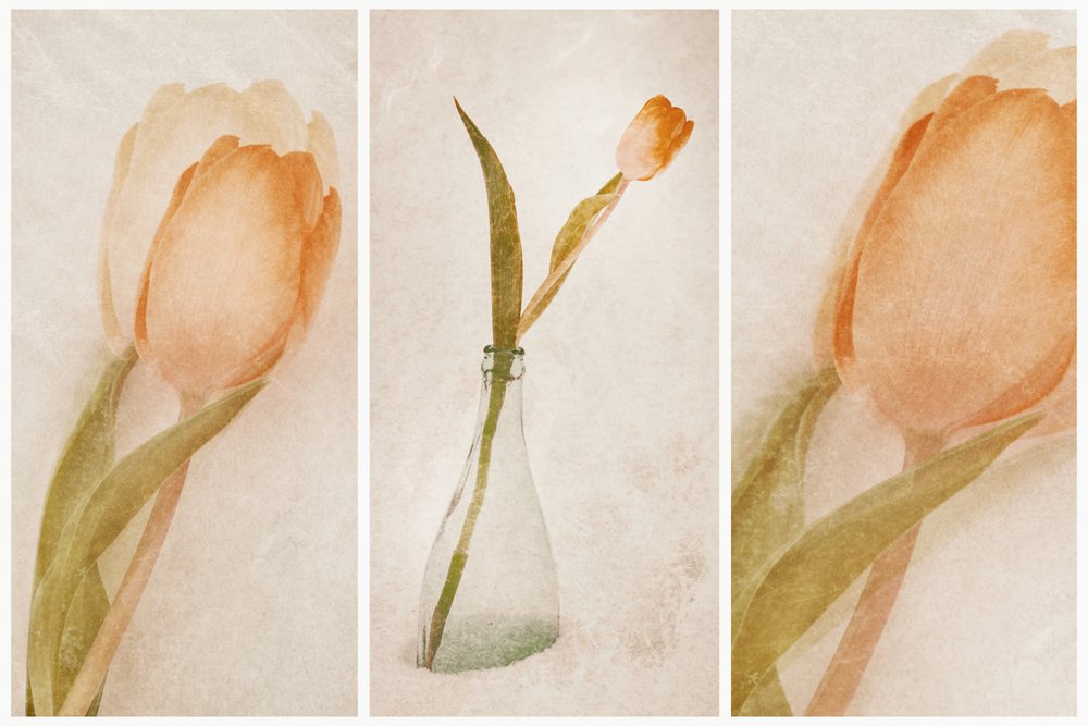 Fijn tulpenstilleven door Gustav Davidsson
