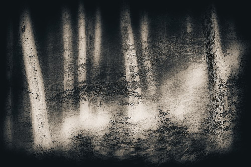  door Gustav Davidsson