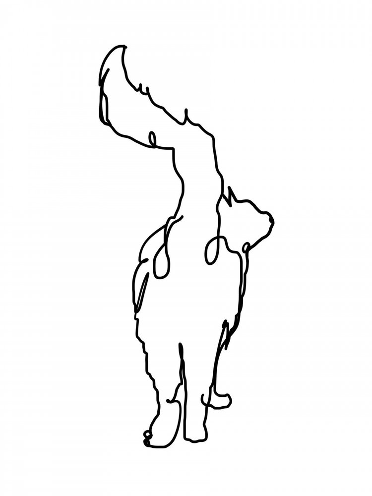 Curious Cat - Lijntekening door Hanna Lee Tidd