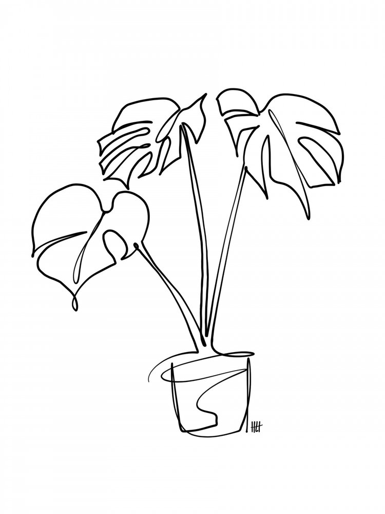 Monstera-lijntekening door Hanna Lee Tidd