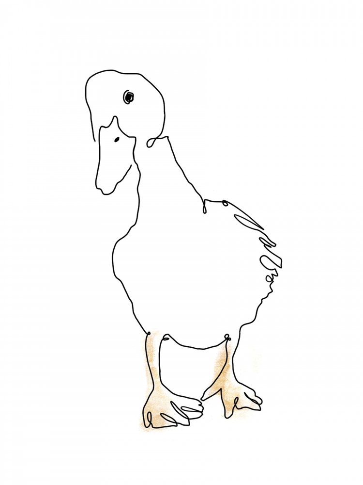 Lijntekening van een schattig eendje door Hanna Lee Tidd