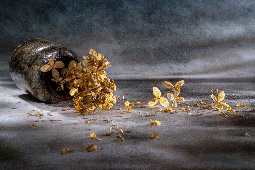 Stilleven met gedroogde hortensia door Igor Kopcev