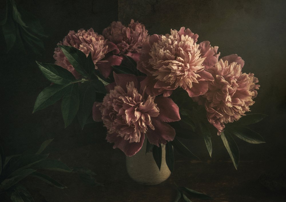 Elegante roze pioenrozen door Igor Tokarev