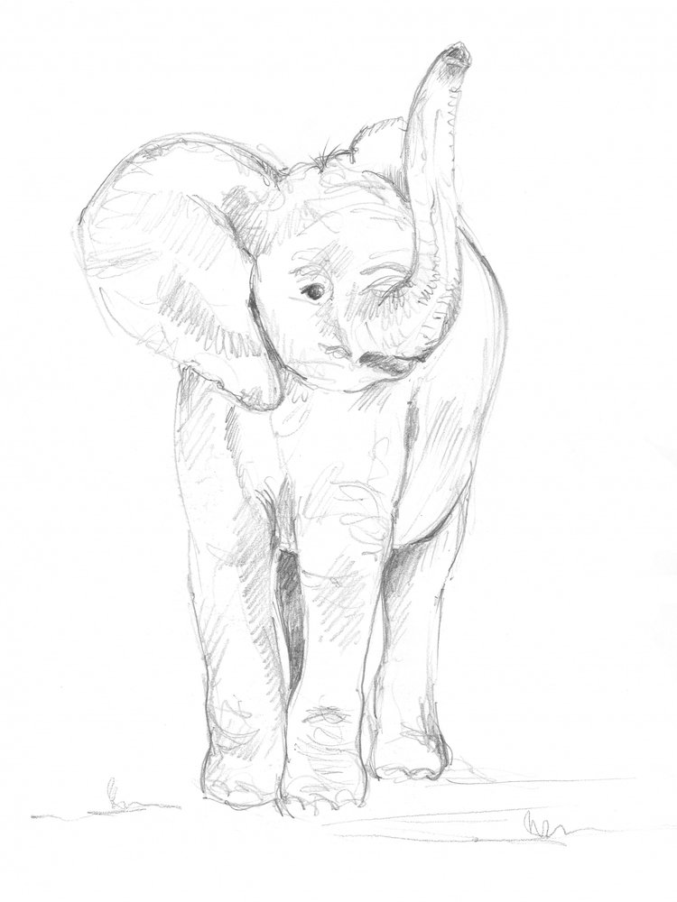 Babyolifant 02 door Isabelle Brent