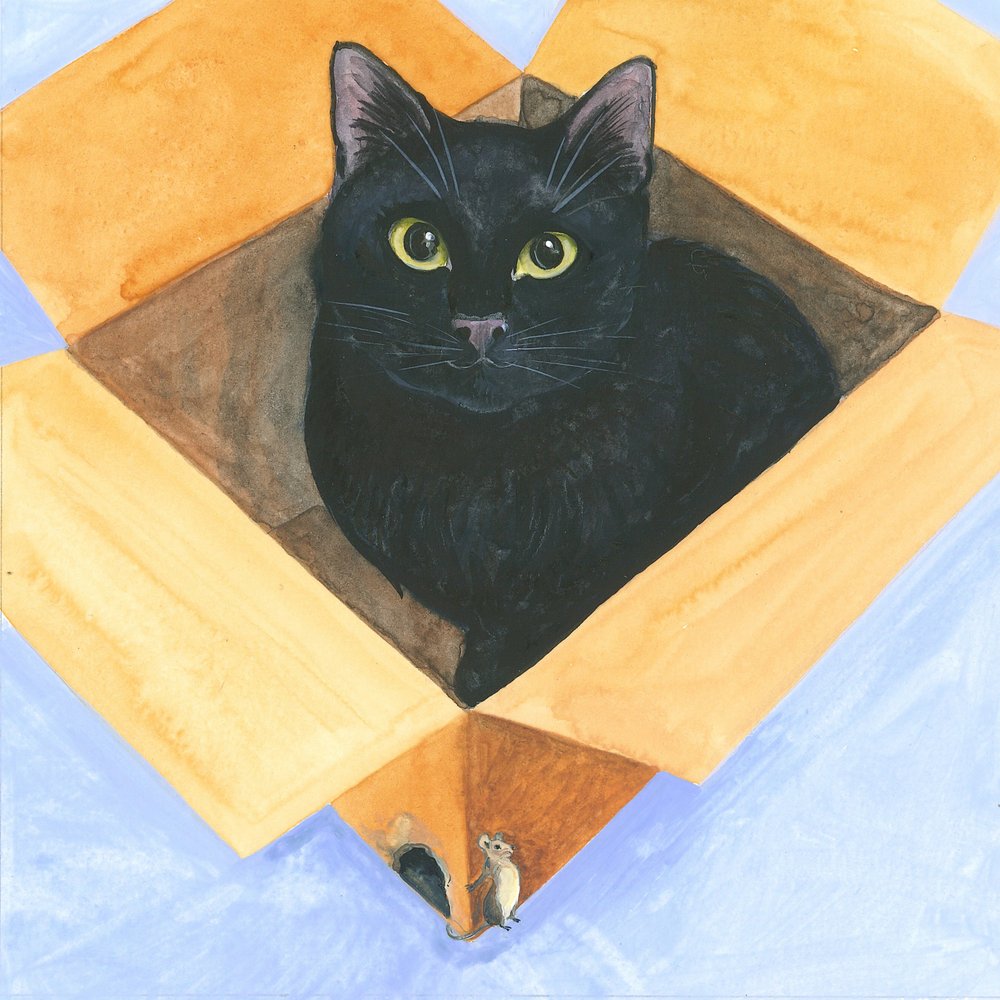 Kat in de doos door Isabelle Brent
