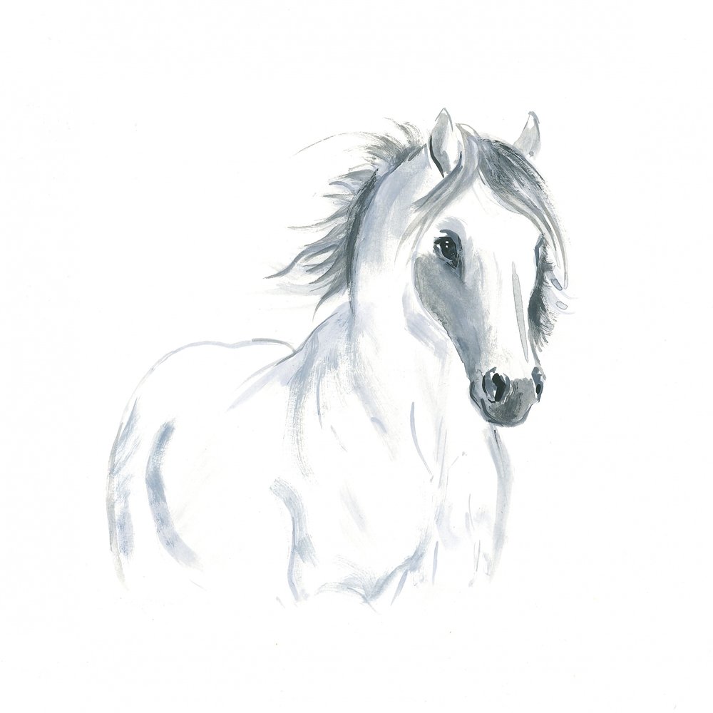 Studie van een paard in beweging door Isabelle Brent